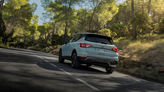 Kleine afbeelding - arona 2