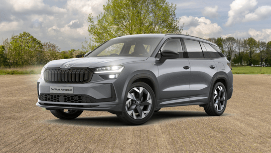 Kodiaq - DWA