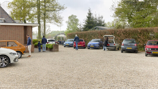 Polo in NL 2