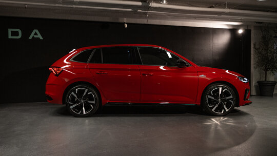 Skoda preview (7)