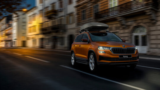 Skoda wintercheck