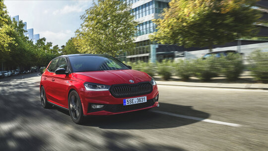 zwarte grille fabia monte carlo