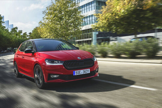 zwarte grille fabia monte carlo